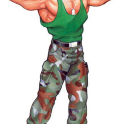 Guile