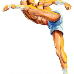 Sagat