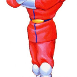 M.Bison (Vega)